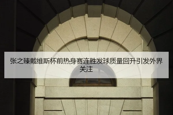 张之臻戴维斯杯前热身赛连胜发球质量回升引发外界关注
