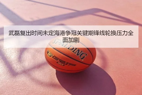 武磊复出时间未定海港争冠关键期锋线轮换压力全面加剧
