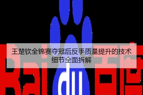 王楚钦全锦赛夺冠后反手质量提升的技术细节全面拆解